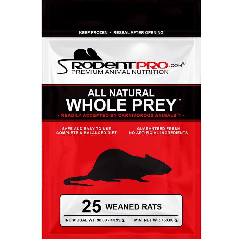 Weaned Rats Quality Frozen Feeder Weaned Rats (25 Per Bag) at Rodent Pro